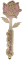 Růže paní učitelce - růžová