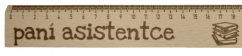Paní asistentce