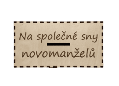 Pokladnička pro novomanželé 2
