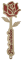 Růže paní učitelce - červená