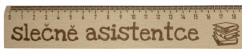 Slečně asistentce