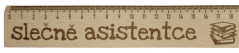 Slečně asistentce Slečně asistentce