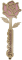 Růže paní asistentce - růžová